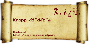 Knopp Ádám névjegykártya