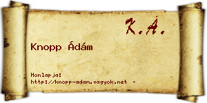 Knopp Ádám névjegykártya